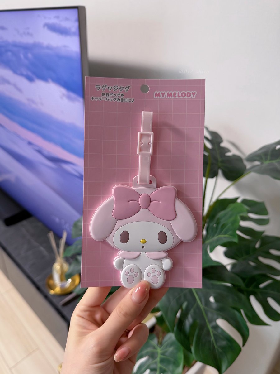 この間threads見てたら私と同じスーツケースの方で「○○空港で