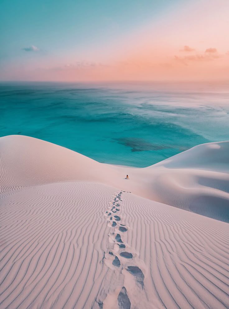 عثمان الملحم ✈️💳 tweet media