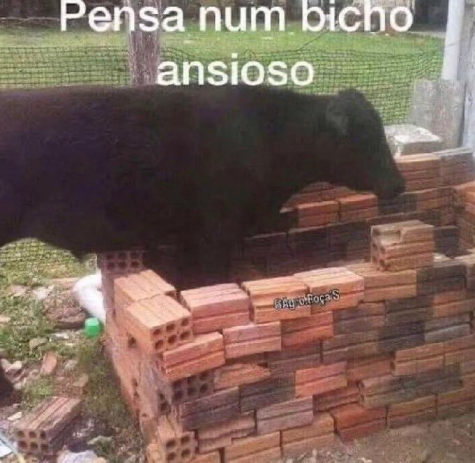 slipkwon's tweet image. ja podia chegar 01/03 Neee kkkk