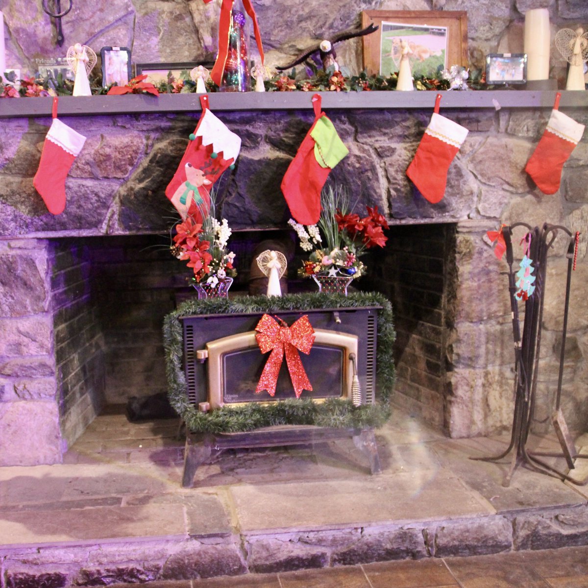 Camp Herrlich tweet media