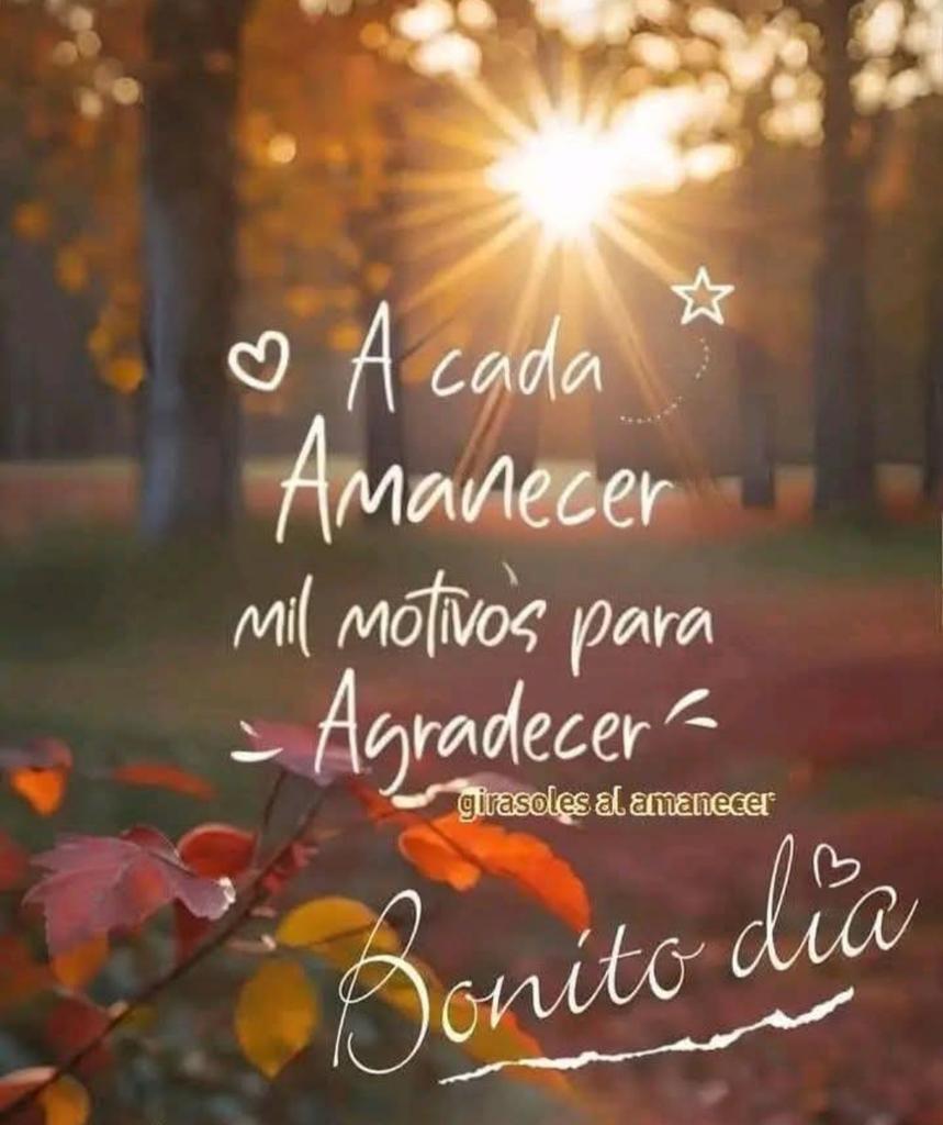 LilaPrzq's tweet photo. Buenos Días 
#MiMundoX
Un fuerte abrazo 
Para todos y Todas 
Aquí Vamos con la Bendición de Papi Dios....
Siempre Confiando y Agradeciendo ...
Cafecito 
#BendiAbrazos https://t.co/adrBZ9fmpI
