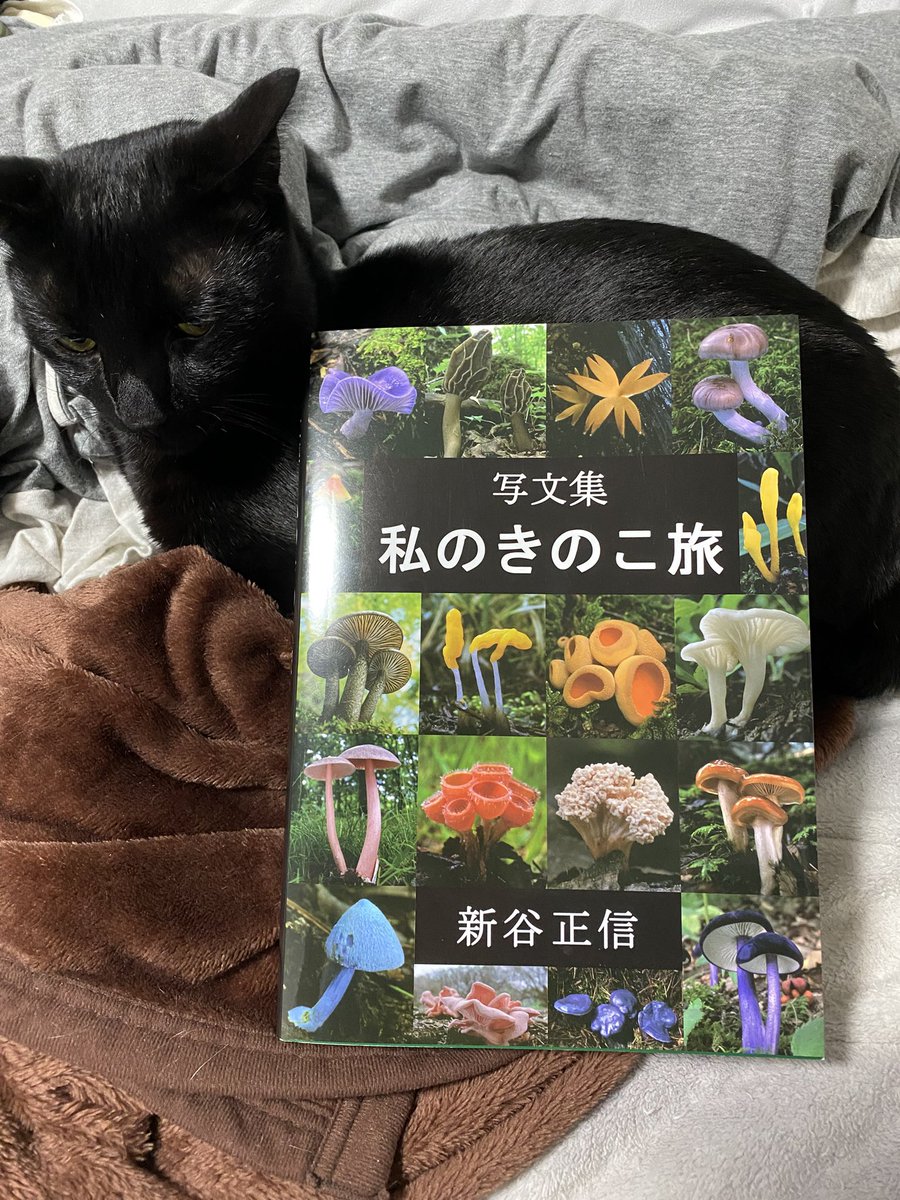 美品】日本菌学史 2006 日本菌学会 日本菌類百選:きのこ・カビ・酵母と