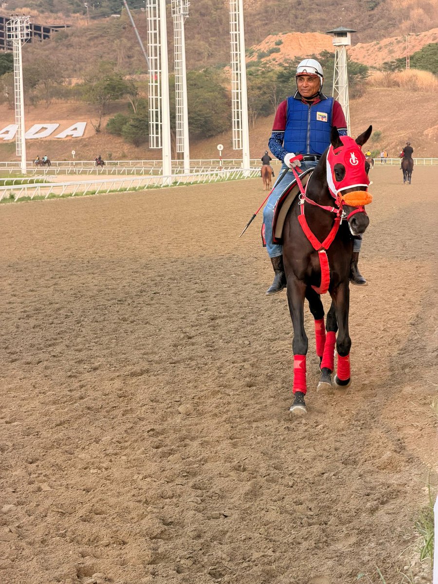 OficialINH's tweet photo. Fotos 📸| Miércoles de ejercicios en el Hipódromo Internacional La Rinconada 🐴. 

✨Bendecido día a toda la afición hípica 🏇🏻 . 

¡El #hipismo es lo nuestro 🐴! https://t.co/Uz07VyfIv7
