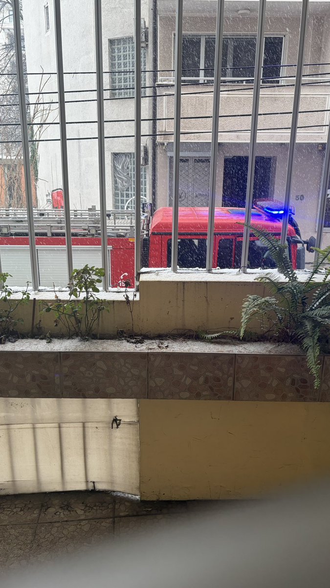 Жить на первом сербском этаже

Ожидание: дискомфорт, все заглядывают в твои окна и обсуждают тебя
Реальность: становишься самой большой сплетницей на районе, за всеми подсматриваешь и всех осуждаешь 
(вон пожарка например приехала)