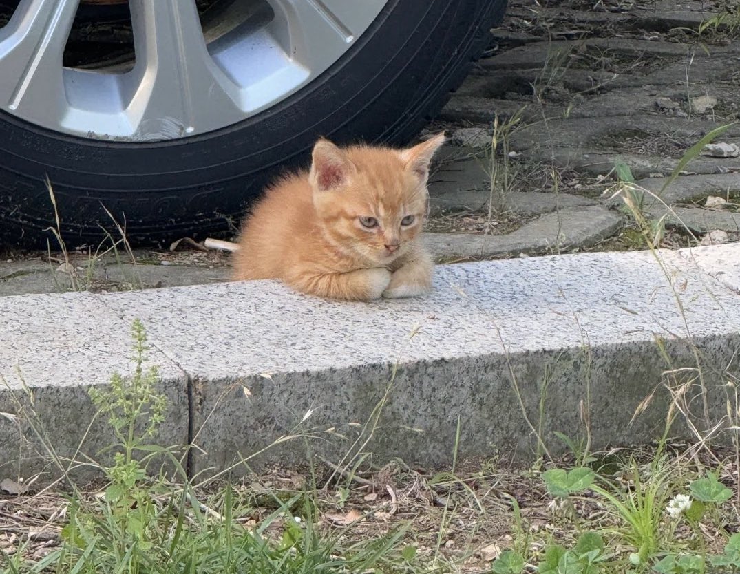 FayneZP's tweet image. Щоб замінити ПІБ власника особового рахунку у Водоканалі, треба зібрати 6 папірців різних
Зробити копії 
Потім з цими копіями та оригіналами приїхати до Водоканалу… 

Не починав займатись цим протягом 5 років, та й хуй з ним і надалі мабуть…