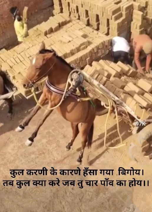 Subhash_Atwal's tweet image. #किसानगौरव_सम्मान_संतरामपालजी
#SaNewsChannel
#TrueGuru
#TatvdarshiSant

♦️Please visit JAGATGURURAMPALJI.ORG