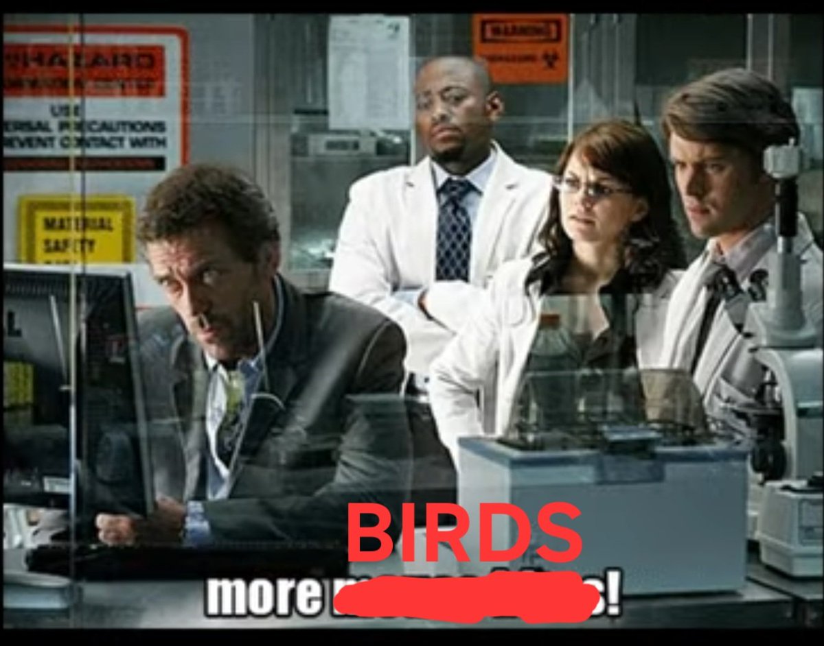 Zay 🔜 AC, IFC tweet media