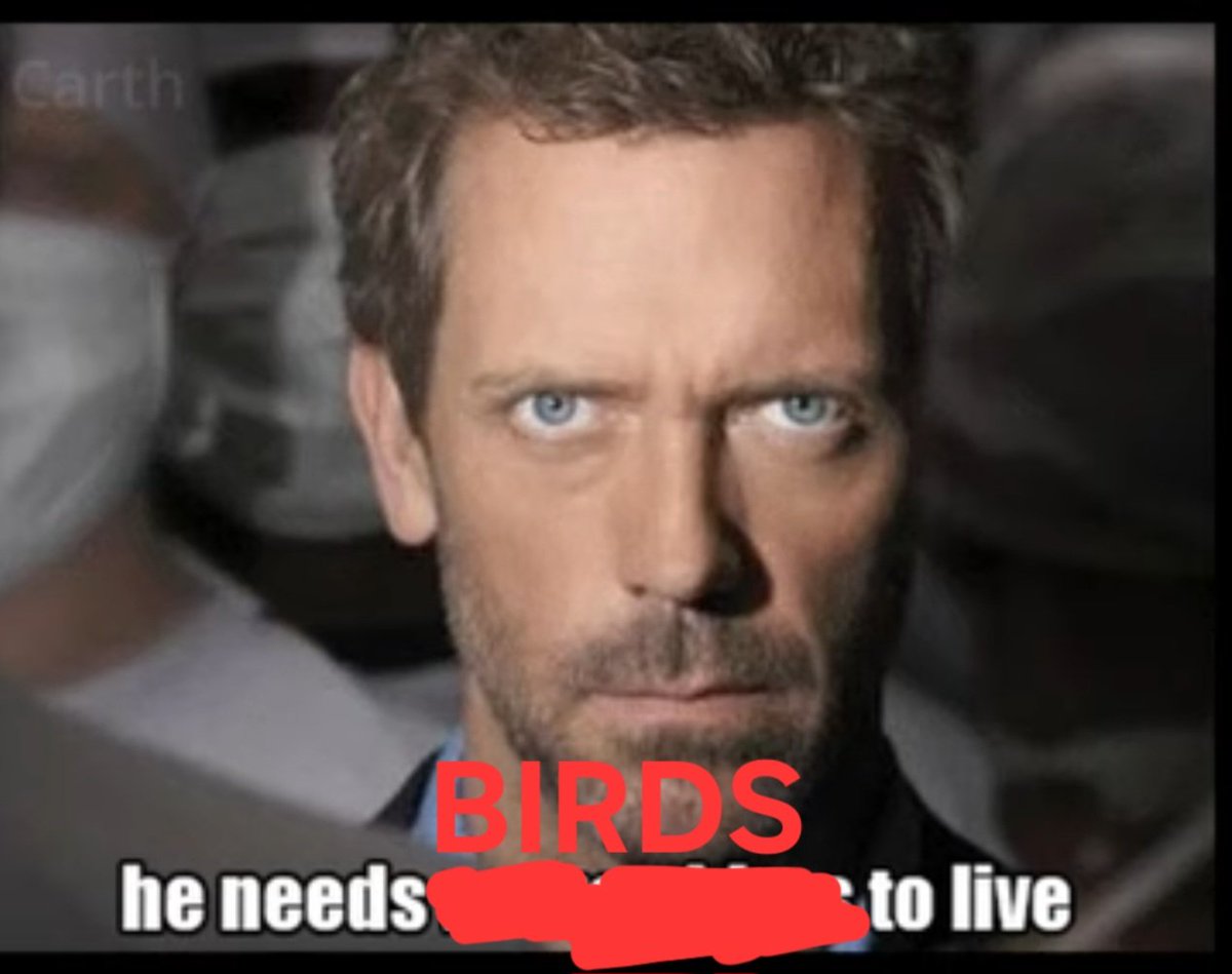 Zay 🔜 AC, IFC tweet media