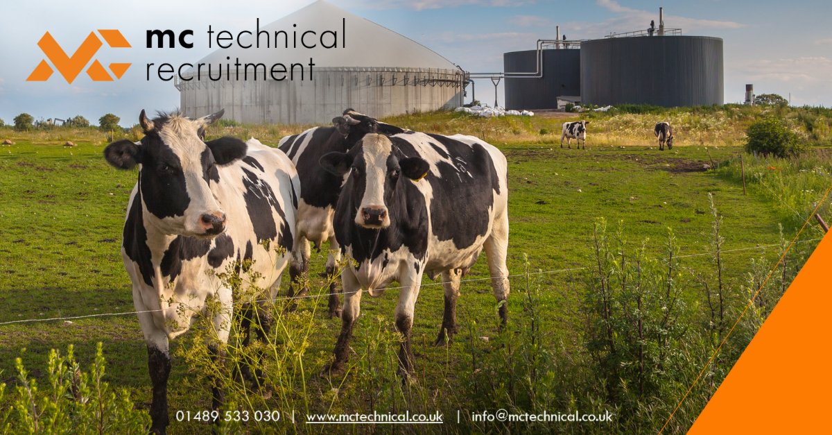 MC Technical Recruitment tweet media