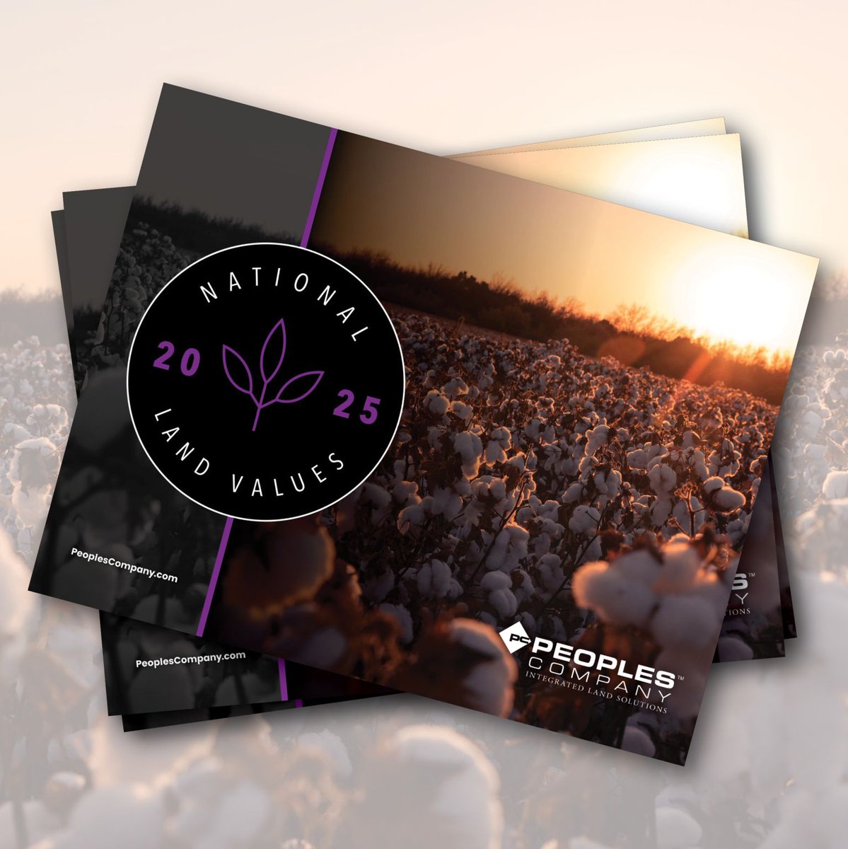 Proud of this work from the Peoples Company team. Real transaction data, real insights into where U.S. farmland values are headed and what 2026 may hold for landowners and operators.

<a href="/PeoplesCompany/">Peoples Company</a>