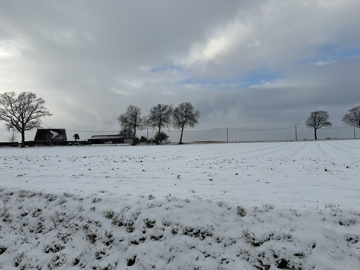 alexandermanhae's tweet photo. #vrtweer Wortegem : woensdag 7 januari 2026 om 15:03 Alexander Manhaeghe https://t.co/UkCKEhXKMb
