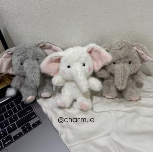lylylyyyyyyyyy's tweet photo. Rp52.470

https://t.co/BrZkoQNbIS https://t.co/R6BZ3QzT1Q