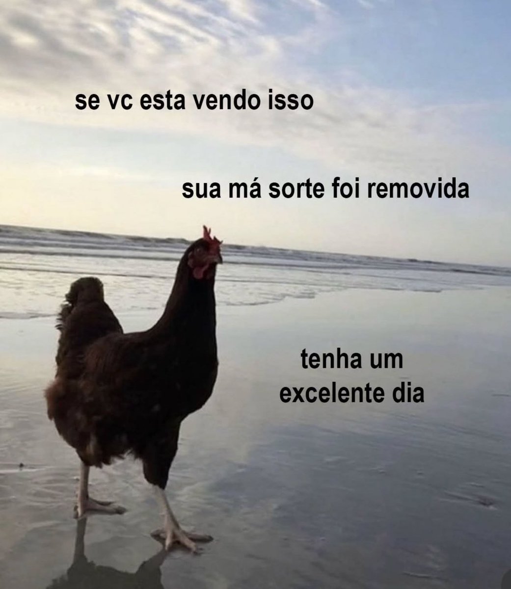 Shitpost só que de verdade (@shitpostverdade) on Twitter photo 