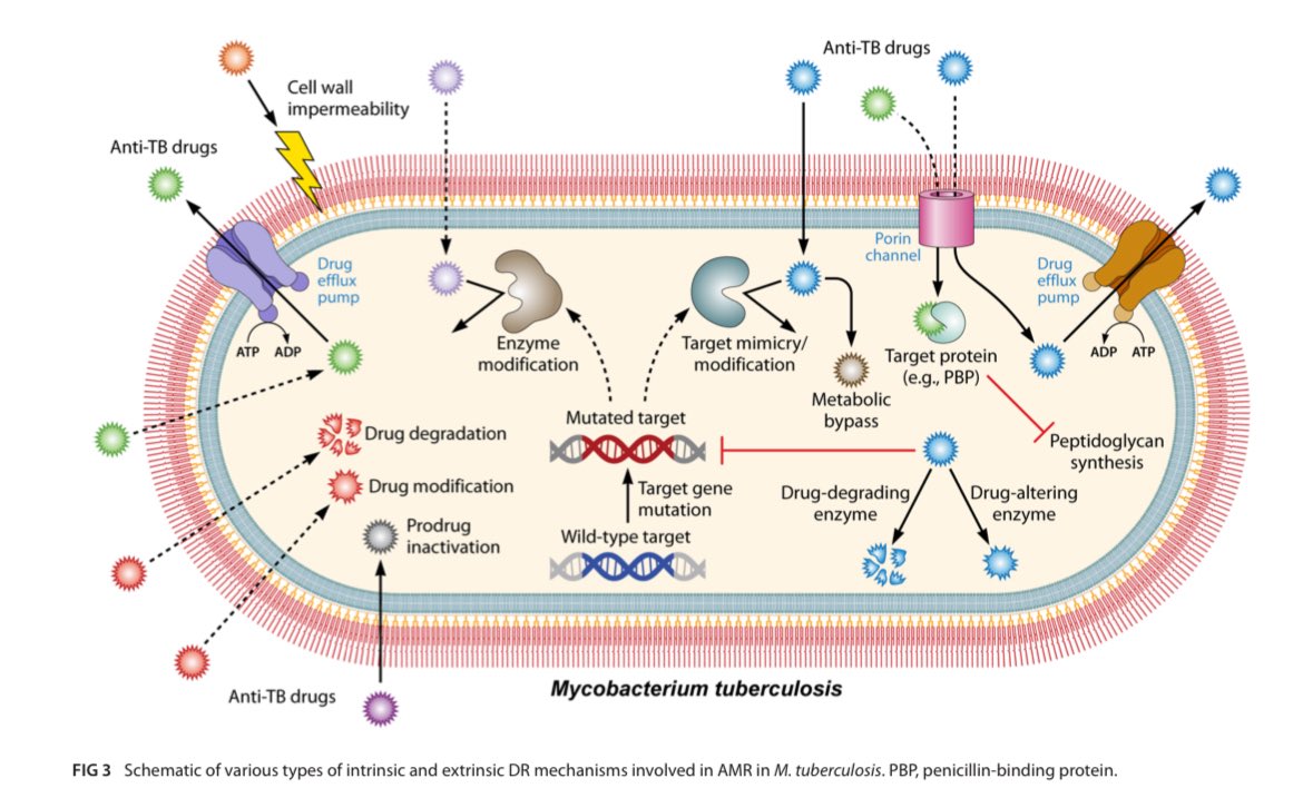 Alí Sebastian Meza tweet media