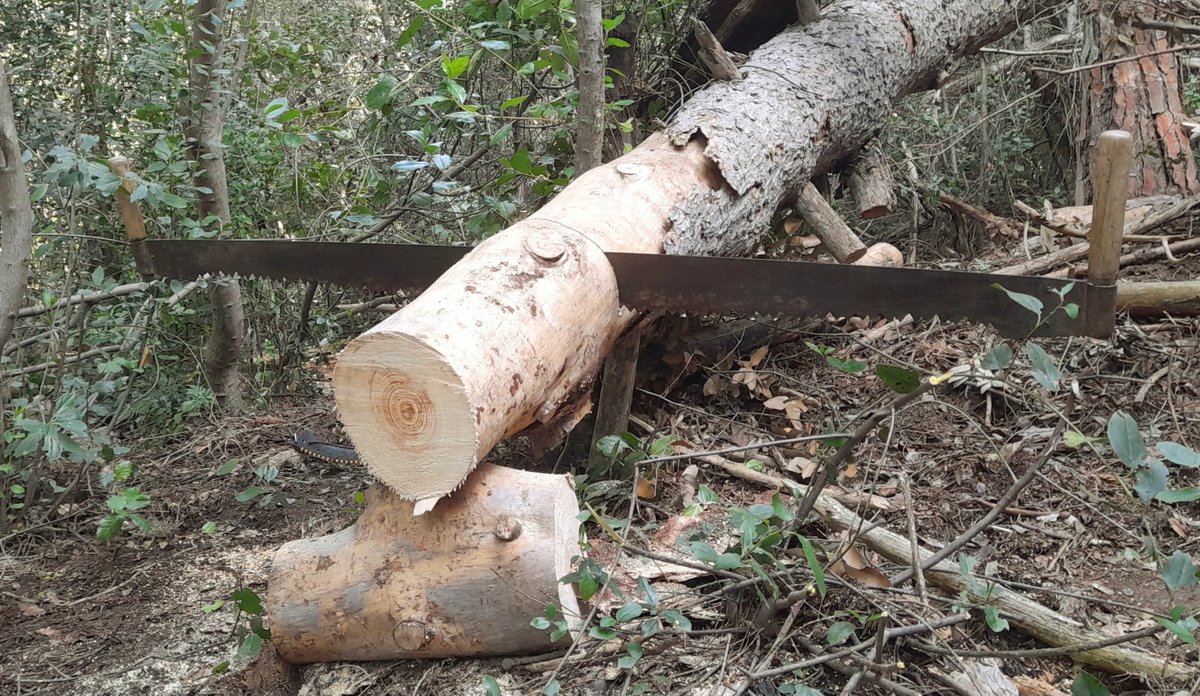 Passant el fred collint #slowllenya , per cremar per passar el fred.