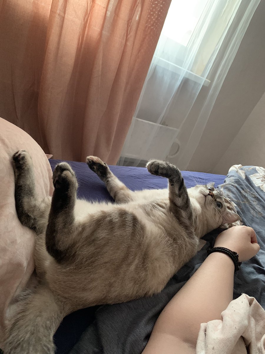 murrmason's tweet image. с утра лежали глупеньково