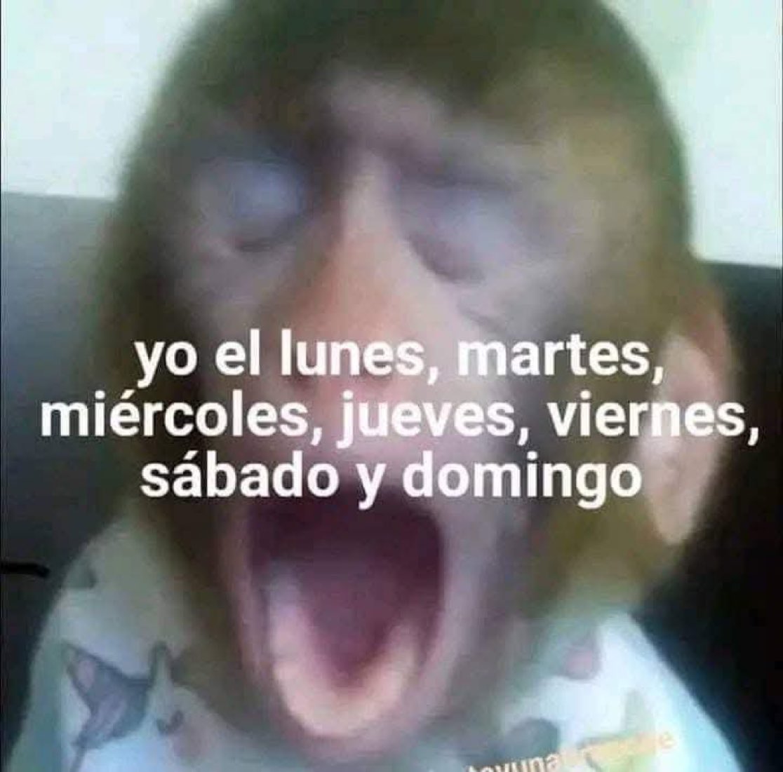 Salvador Iglesias Jr (@javisness) on Twitter photo 