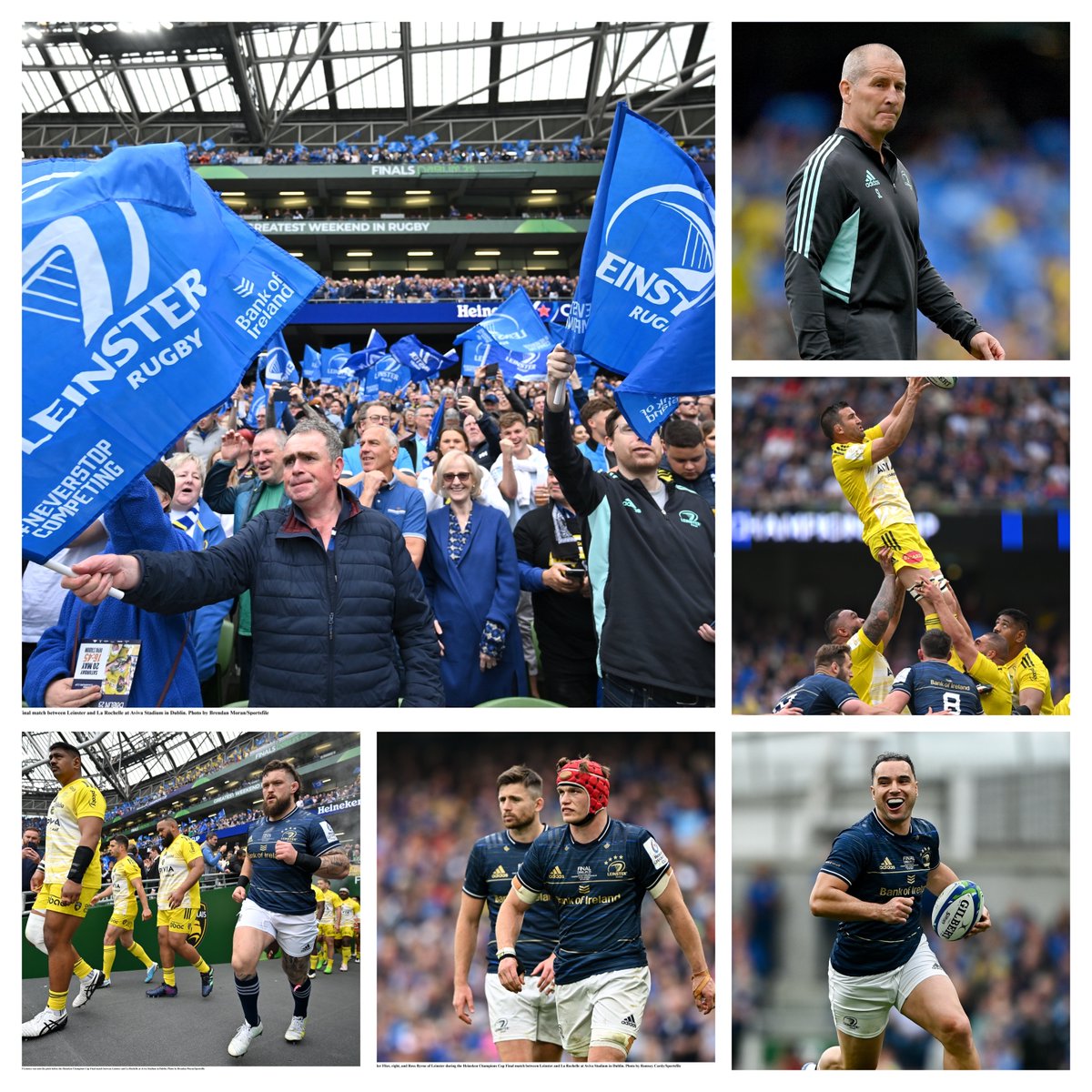 Leinster Supporters tweet media