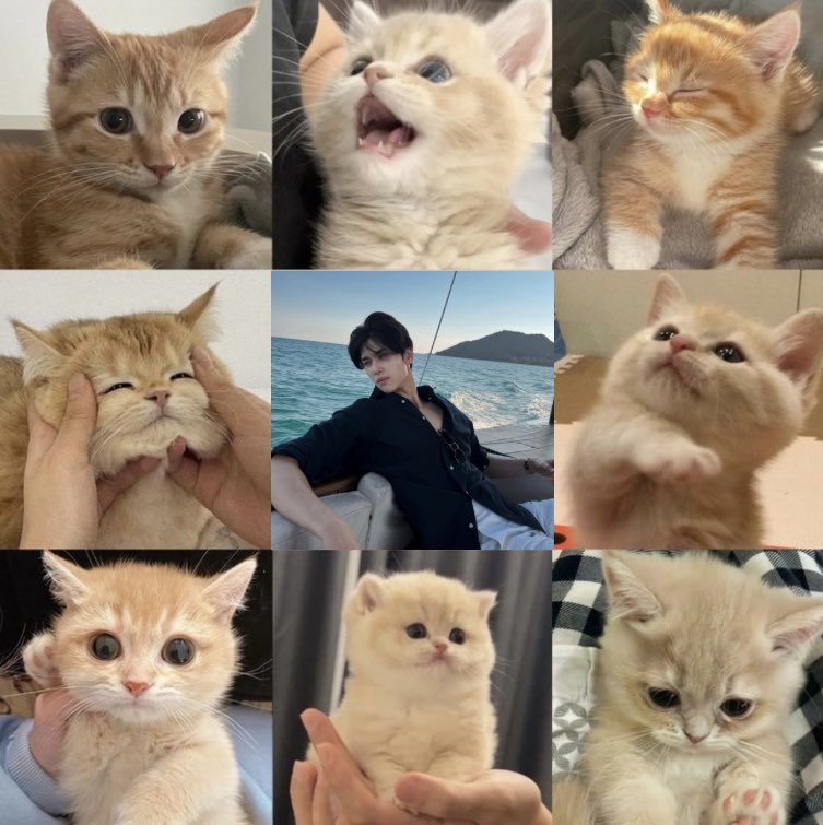 jdkittyzone's tweet image. ✧ #joongdunk ✧ 𝚌𝚊𝚝’𝚜 𝚟𝚎𝚛𝚜𝚒𝚘𝚗