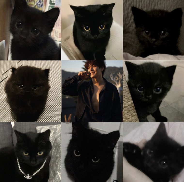 jdkittyzone's tweet image. ✧ #joongdunk ✧ 𝚌𝚊𝚝’𝚜 𝚟𝚎𝚛𝚜𝚒𝚘𝚗