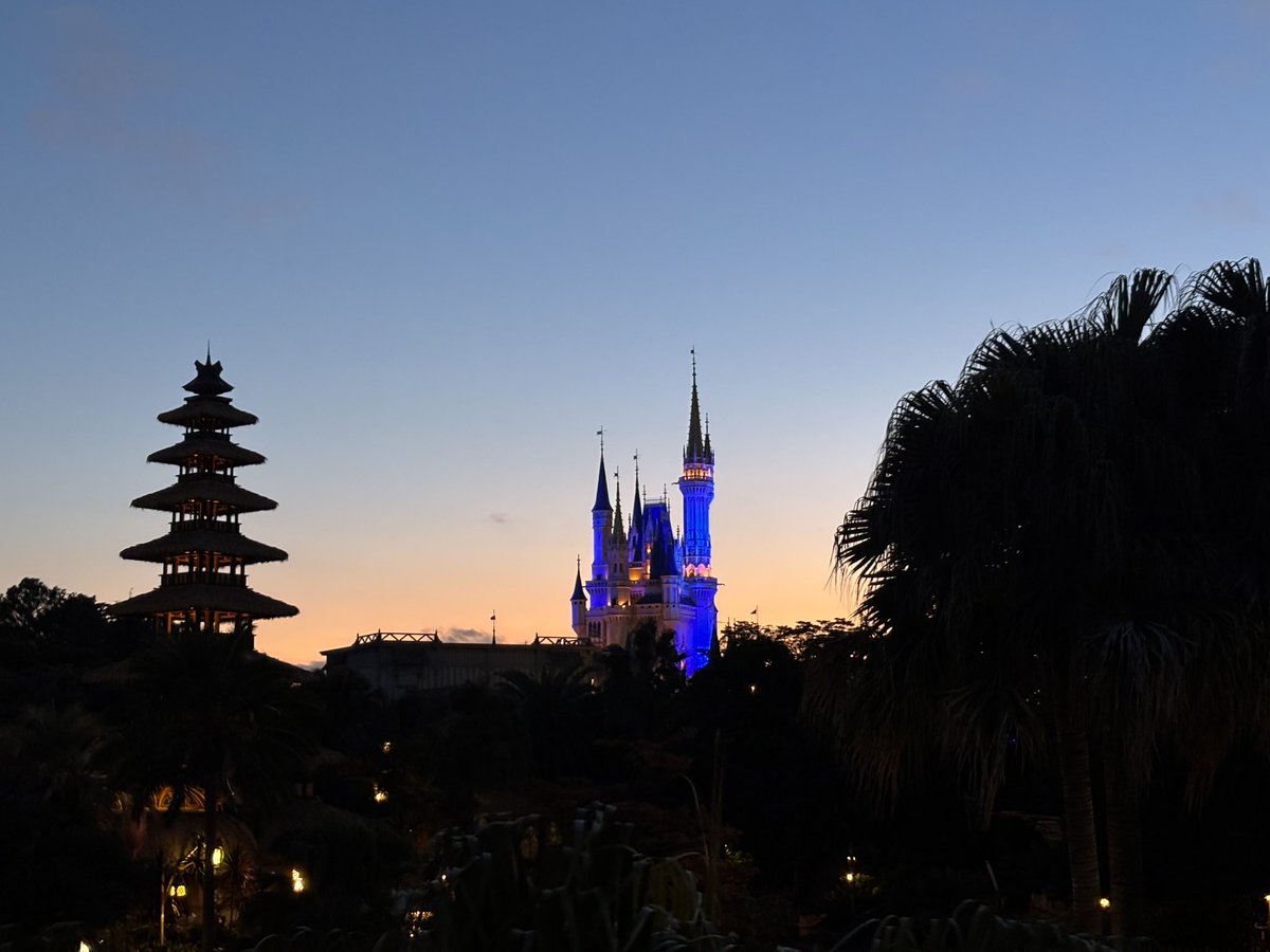 久しぶりにランド行ってきた。ミッキーは相変わらずリーダーだったし、美女は相変わらず美しかったし、くまたちの演奏は素晴らしかったし、リメンバーミーの曲は最高だった。
#ディズニーランド