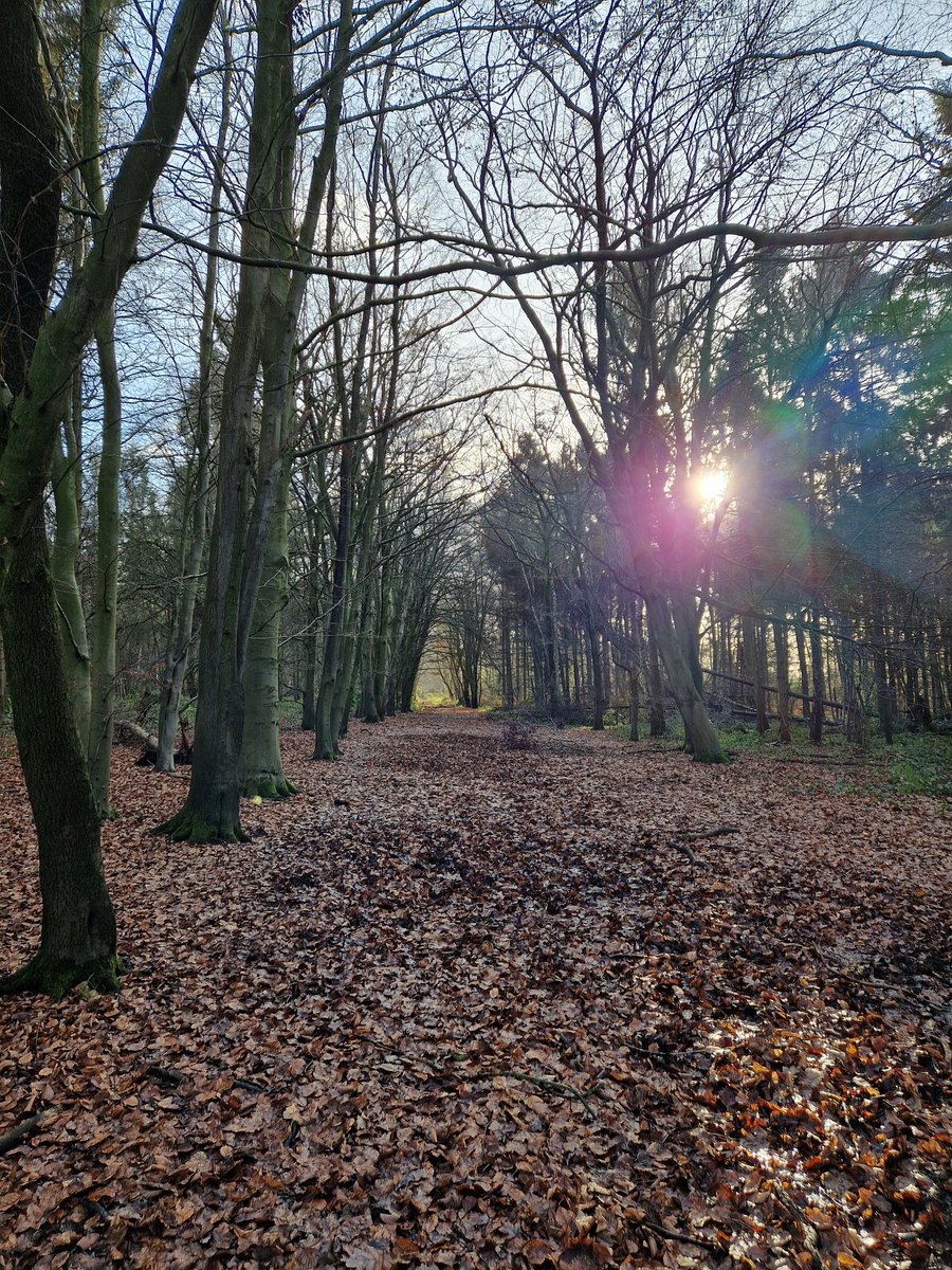 Duncan Jones tweet media