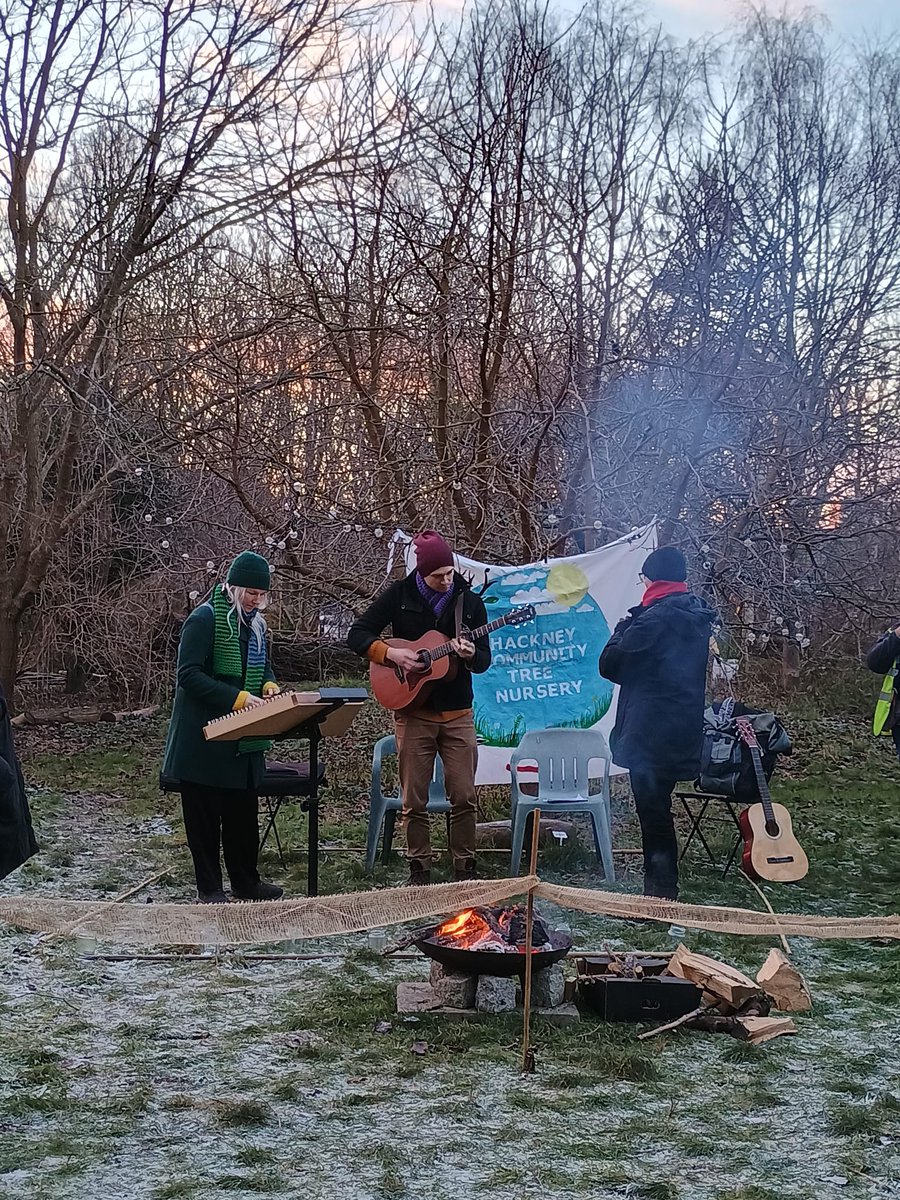 Tree Musketeers tweet media