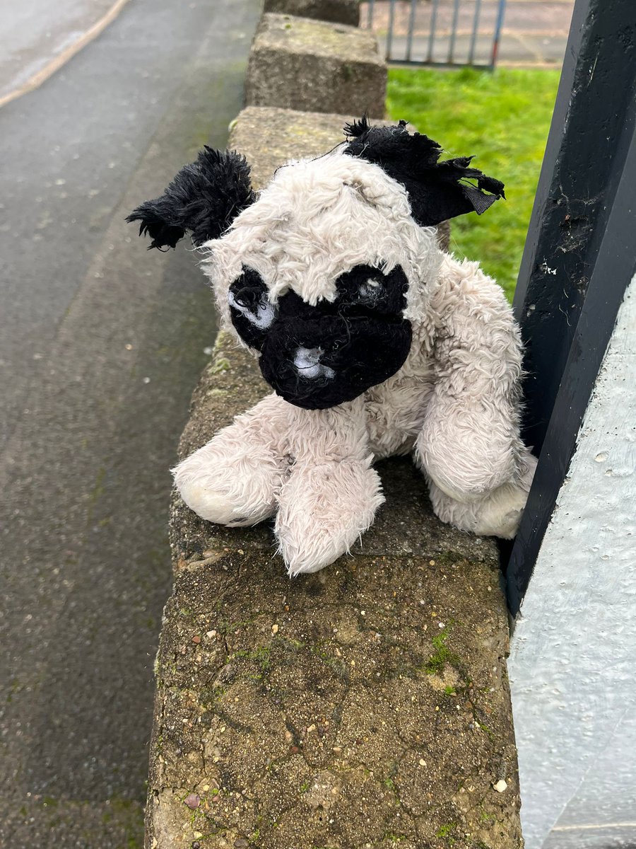 Litterwatch1's tweet photo. Mick’s back on the beat. After a quiet Christmas, he was back out in #WestBromwich today doing his bit.
2 bags cleared on Turner St, plus extra side roads to make up for lost time! Check the pics for some unusual finds. #VolunteersMakingADifference #sandwell https://t.co/bGfrFC6nRY