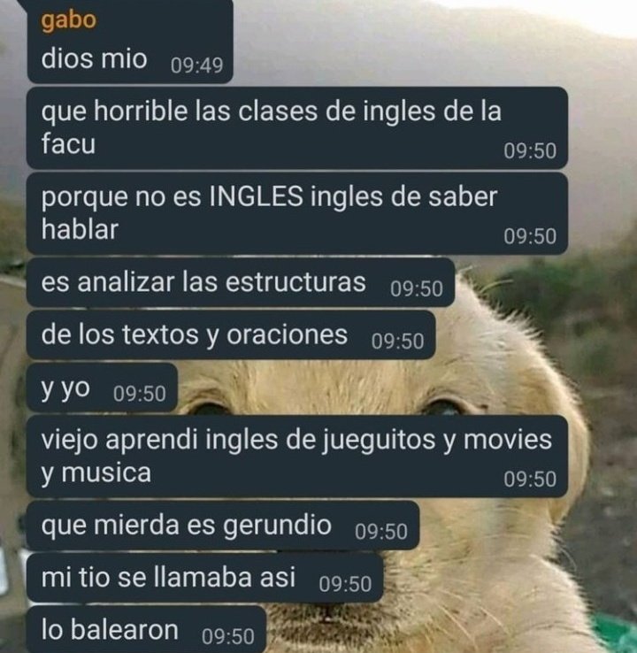 UlisesDavid__'s tweet image. 