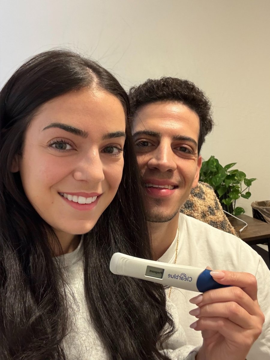 Dragon | Foster tweet media