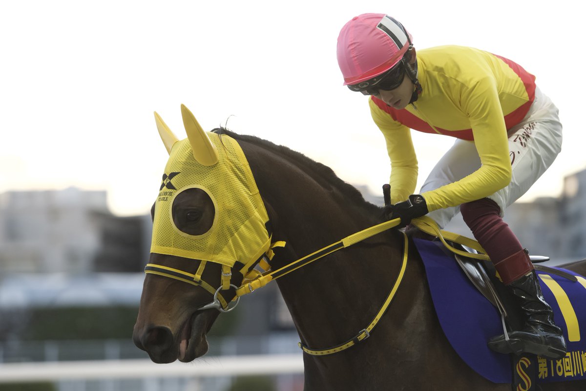 2026.1.3 川崎11R #川崎マイラーズ #ドナギニー #笹川翼騎手