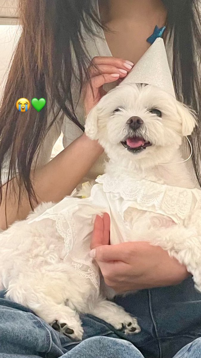 _imyour_bub's tweet image. ㅤ

                  여보! 𑁯 🌳 ⣬ 𝐭o𝚍ay's a 𝚗ew 𝚍ay!
                  𝚐et 𝐫ea𝚍y to 𝕔hec𝚔 : 𝕝𝐢𝐚's𝕥a𝑔ram⠀         ⠀⠀   ⠀⠀   ⠀⠀   ⠀⠀ ⠀         ⠀⠀   ⠀⠀   ⠀⠀   ⠀⠀  ⠀         ⠀⠀  ⠀         ⠀⠀   ⠀⠀