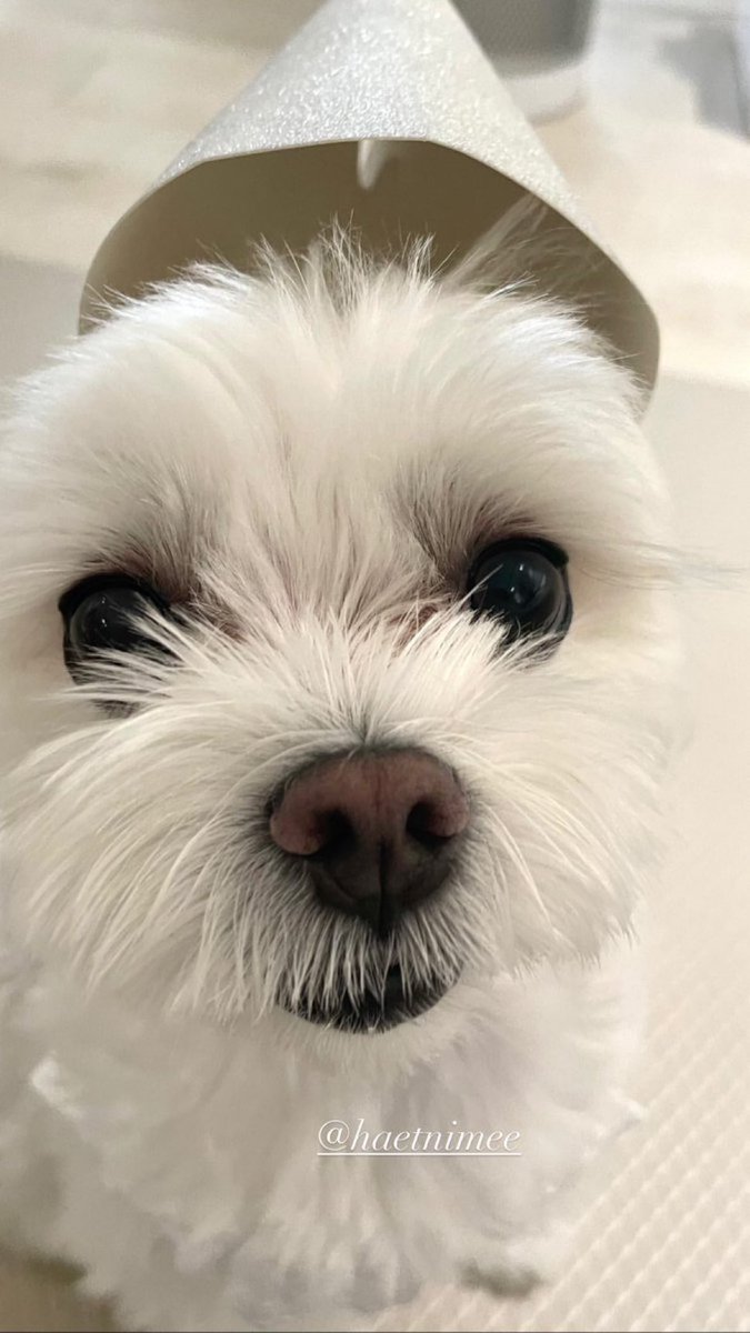 _imyour_bub's tweet image. ㅤ

                  여보! 𑁯 🌳 ⣬ 𝐭o𝚍ay's a 𝚗ew 𝚍ay!
                  𝚐et 𝐫ea𝚍y to 𝕔hec𝚔 : 𝕝𝐢𝐚's𝕥a𝑔ram⠀         ⠀⠀   ⠀⠀   ⠀⠀   ⠀⠀ ⠀         ⠀⠀   ⠀⠀   ⠀⠀   ⠀⠀  ⠀         ⠀⠀  ⠀         ⠀⠀   ⠀⠀