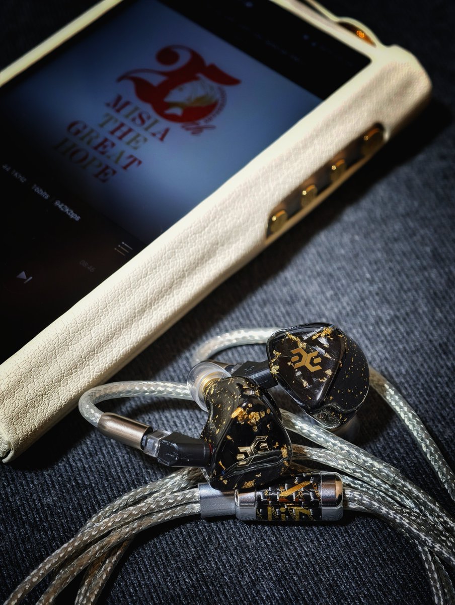 寝る前ポタタイムᖰ😴ᖳ Cayin N30LE ESSENCE AUDIO Relation Elysian