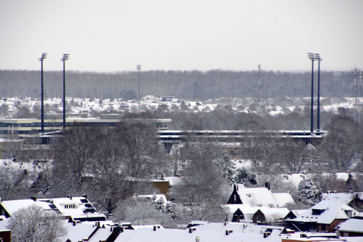Een witte Braak❄️😍

📸Wim van den Broek