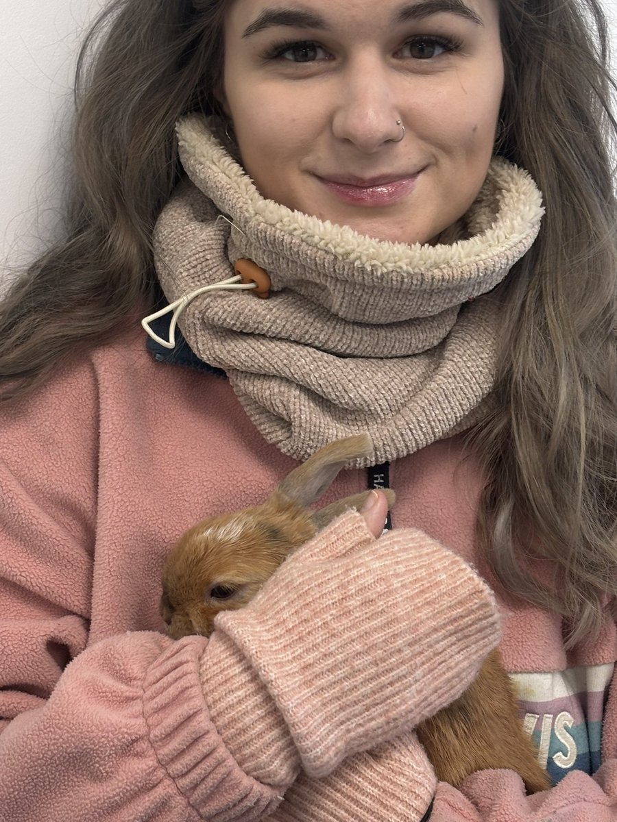 carrotcottagerr's tweet image. This morning we had Max in for blood tests to check his liver parameters and a general health check. 
JD was in for bloods and a health check. We believe he may have a bladder infection. 
Harry had his laser. 
TJ has his eye checked as it’s going slightly cloudy 😢 

All these…