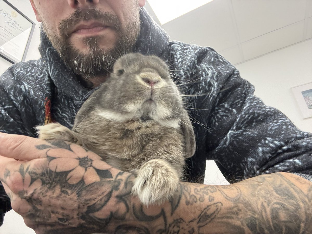 carrotcottagerr's tweet image. This morning we had Max in for blood tests to check his liver parameters and a general health check. 
JD was in for bloods and a health check. We believe he may have a bladder infection. 
Harry had his laser. 
TJ has his eye checked as it’s going slightly cloudy 😢 

All these…