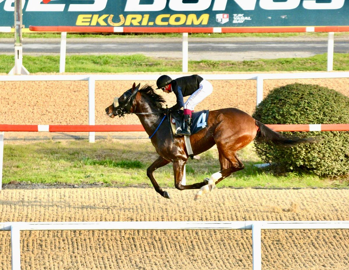 Byerley Racing Türkiye tweet media