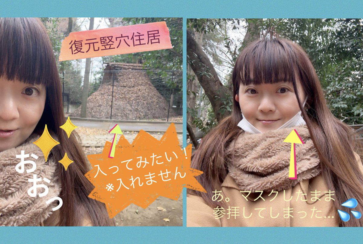 坂本育子 tweet media