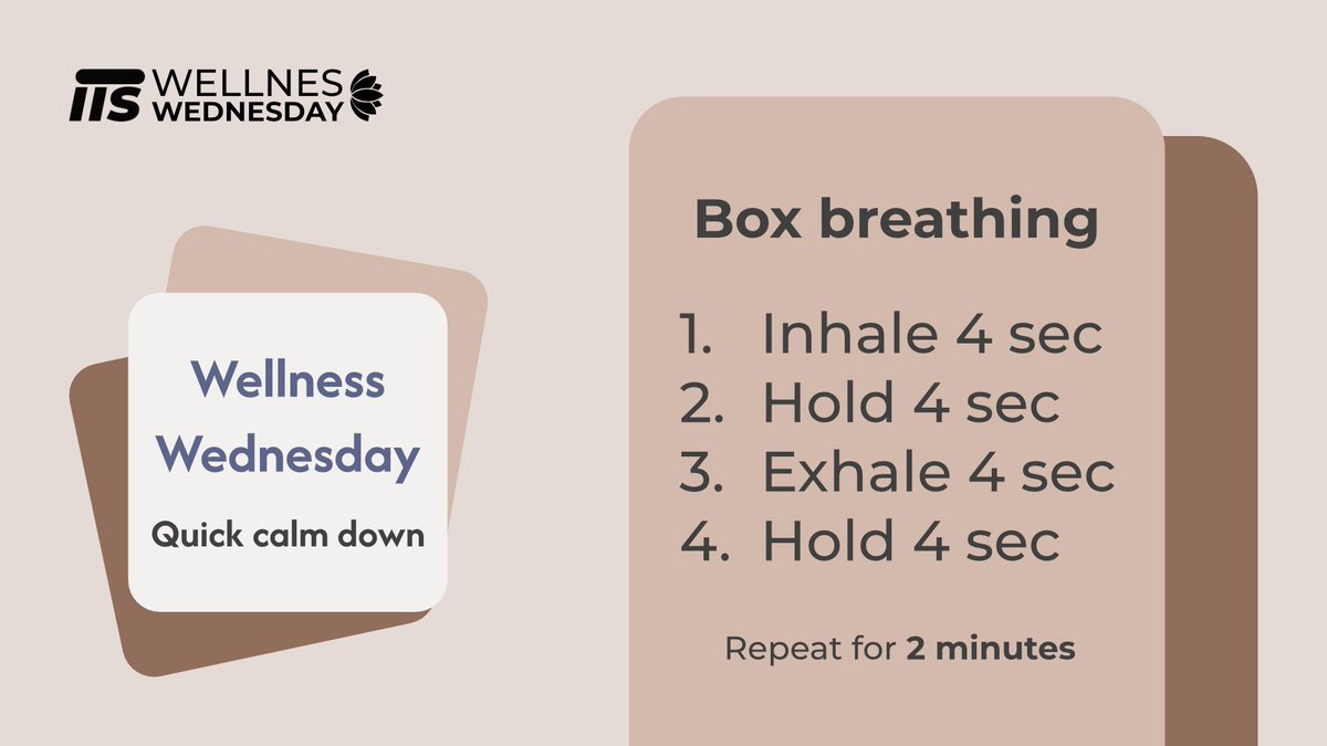 studiis.app tweet media