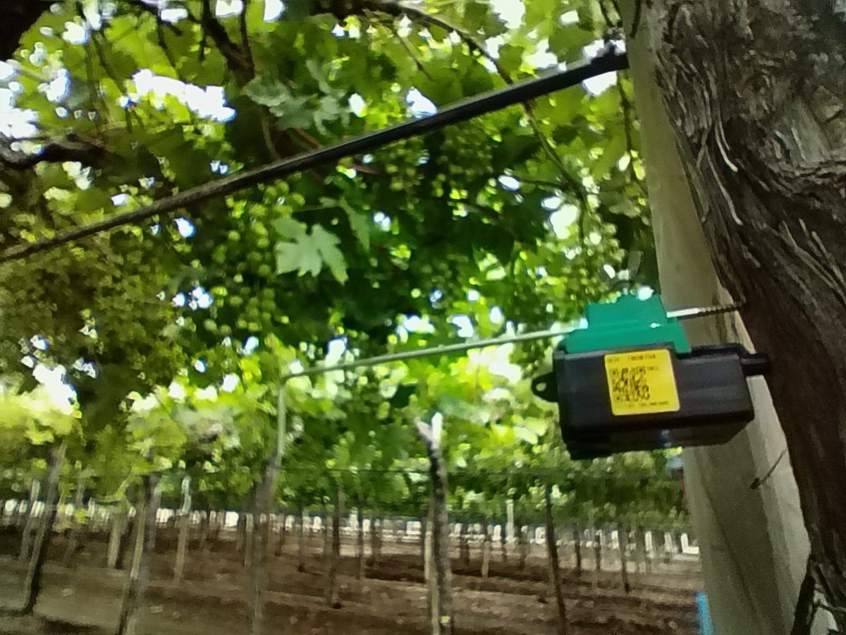 Phytech - Plant Based Farming tweet media