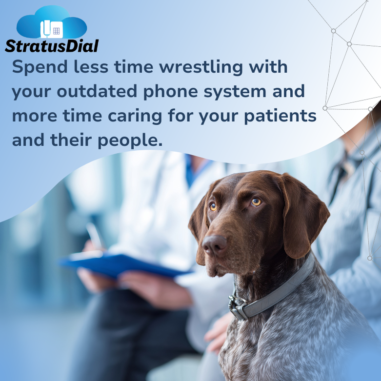 StratusDial's tweet photo. Spend less time wrestling with an outdated phone system, and more time caring for your patients and their people. 🐾💙

StratusDial keeps your clinic connected, efficient, and ready for every appointment.

👉 Ready to upgrade your communication? Contact us today.

#vetlife https://t.co/rbmnk8Ohqo