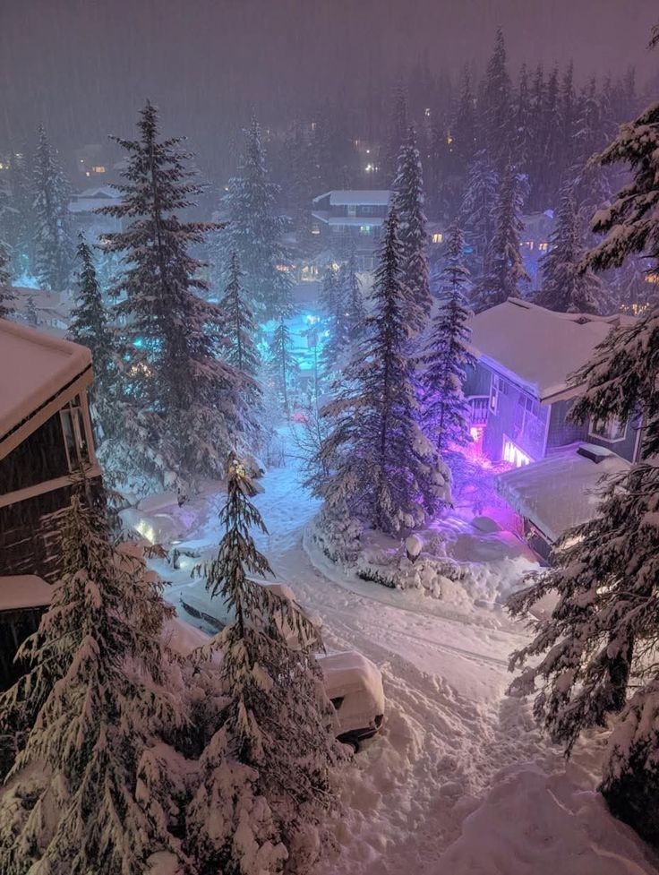 AnnaRblk's tweet image. Canada🇨🇦