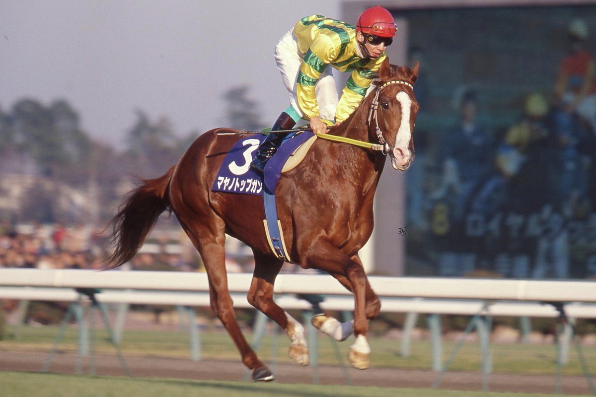 TOMMY SEKiGUCCi (@skgctmhr) / Posts / X