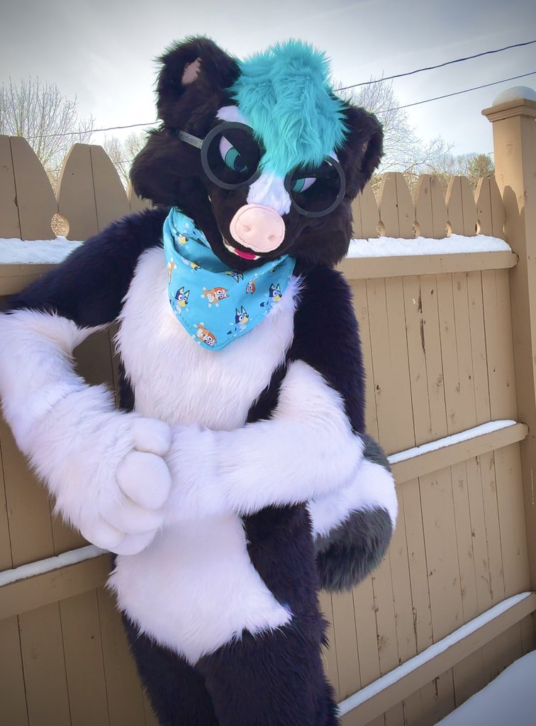 ShadeSkunk🔜Furridelphia, Furpoc tweet media