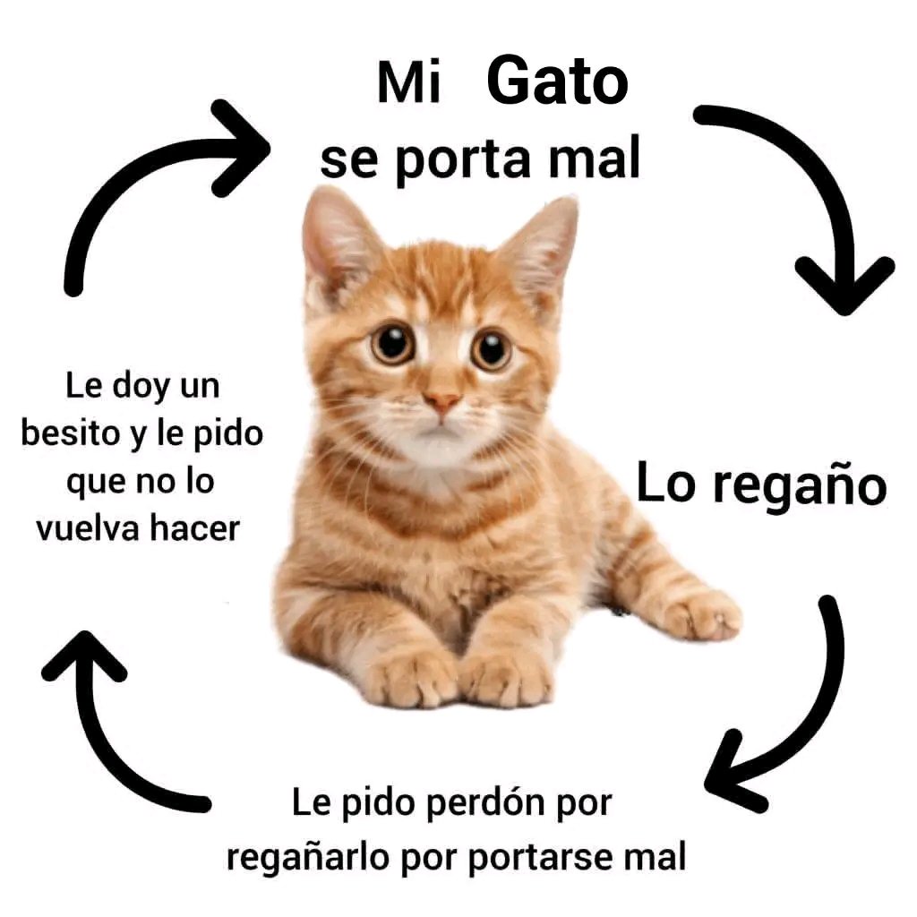 Tiofelino's tweet image. Cuando se porta mal el michito 🐱🐾