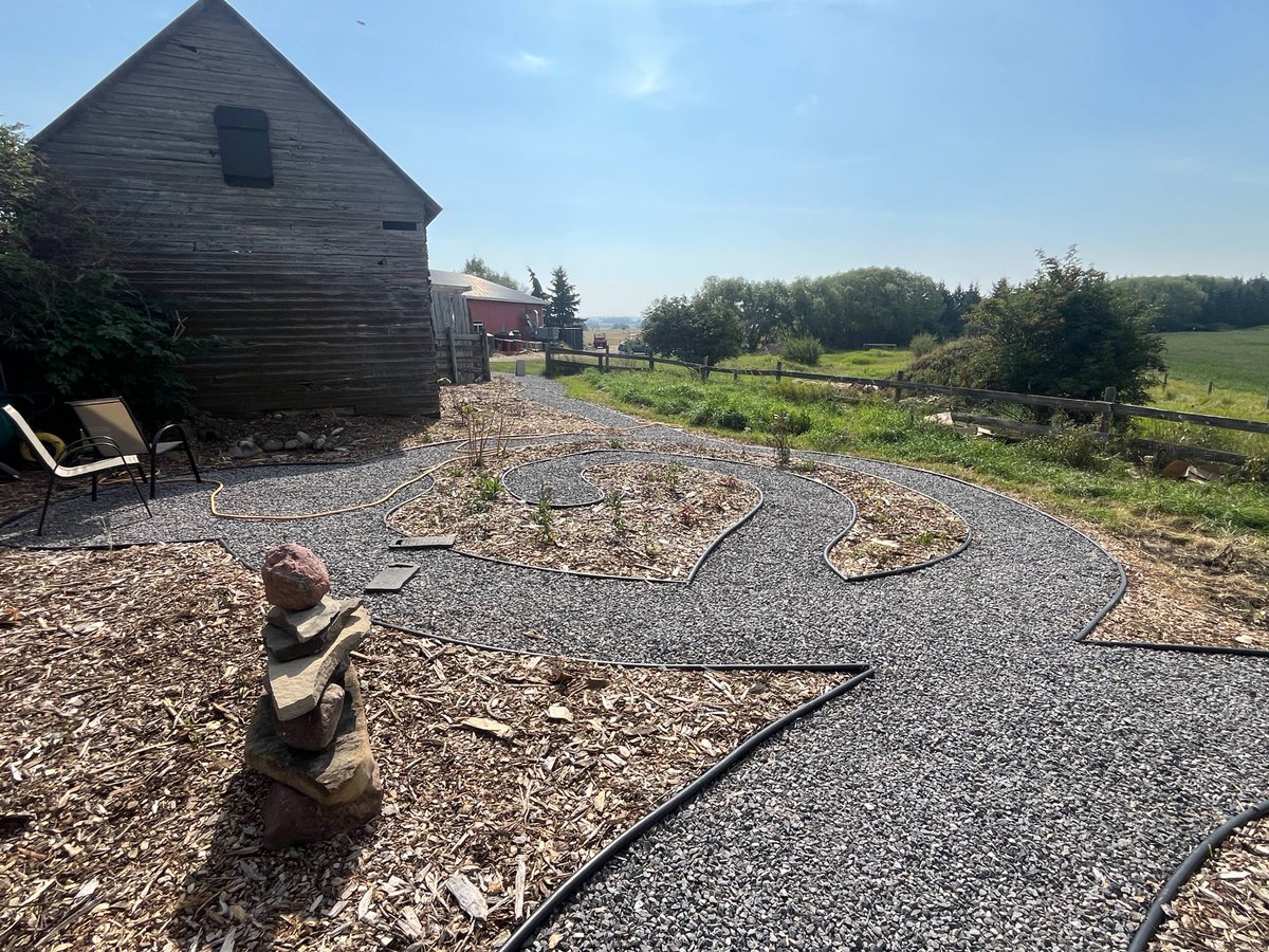 Tree Canada tweet media