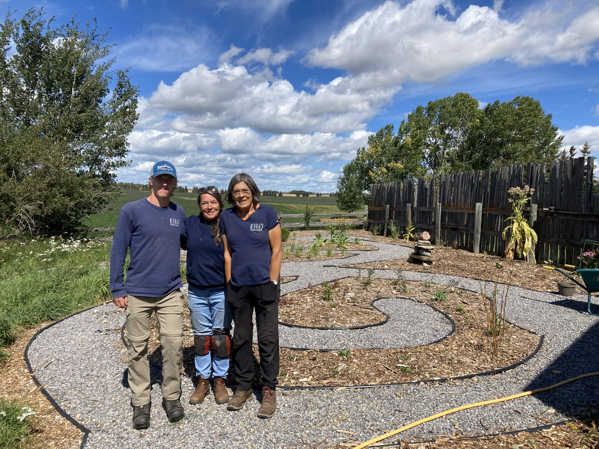 Tree Canada tweet media