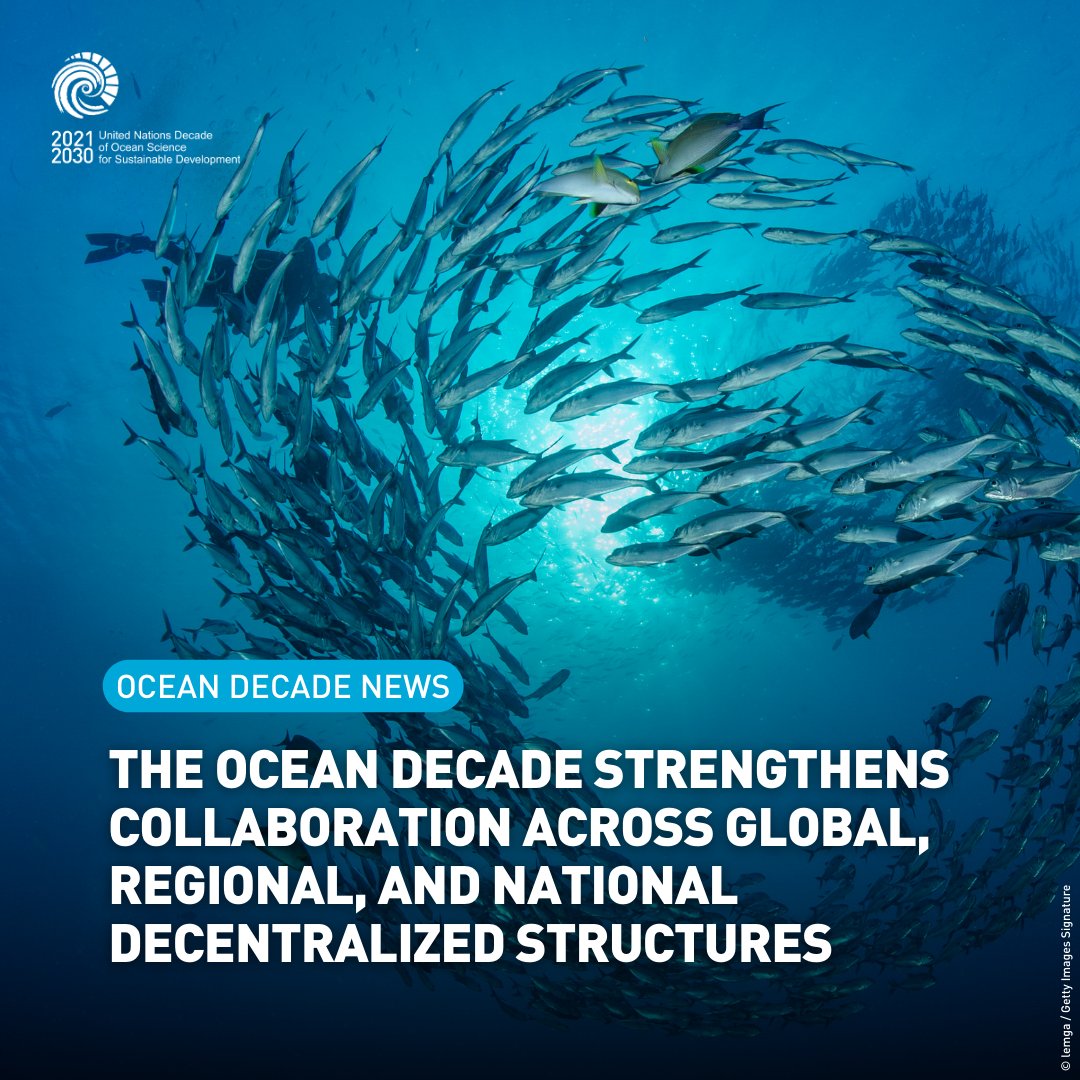 UN Ocean Decade tweet media