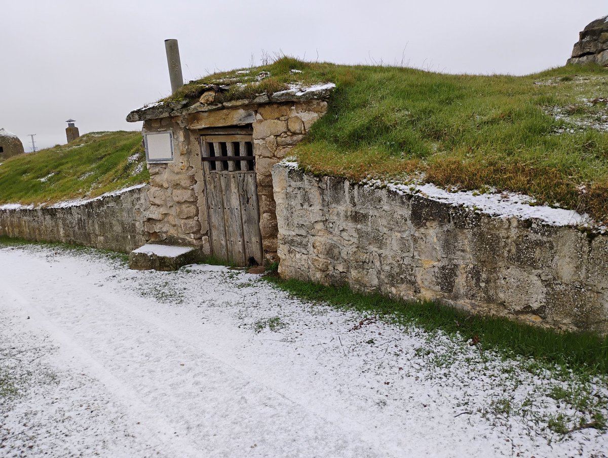 bodega.aulamuzvino tweet media